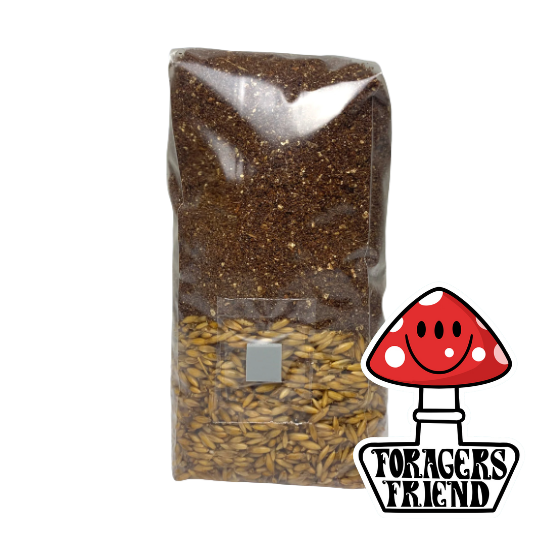 All-in-One Mushroom Grow Bag | Grow Mushrooms | Easy for Beginners | Includes Gloves & Alcohol Swabs | Just add Spores!